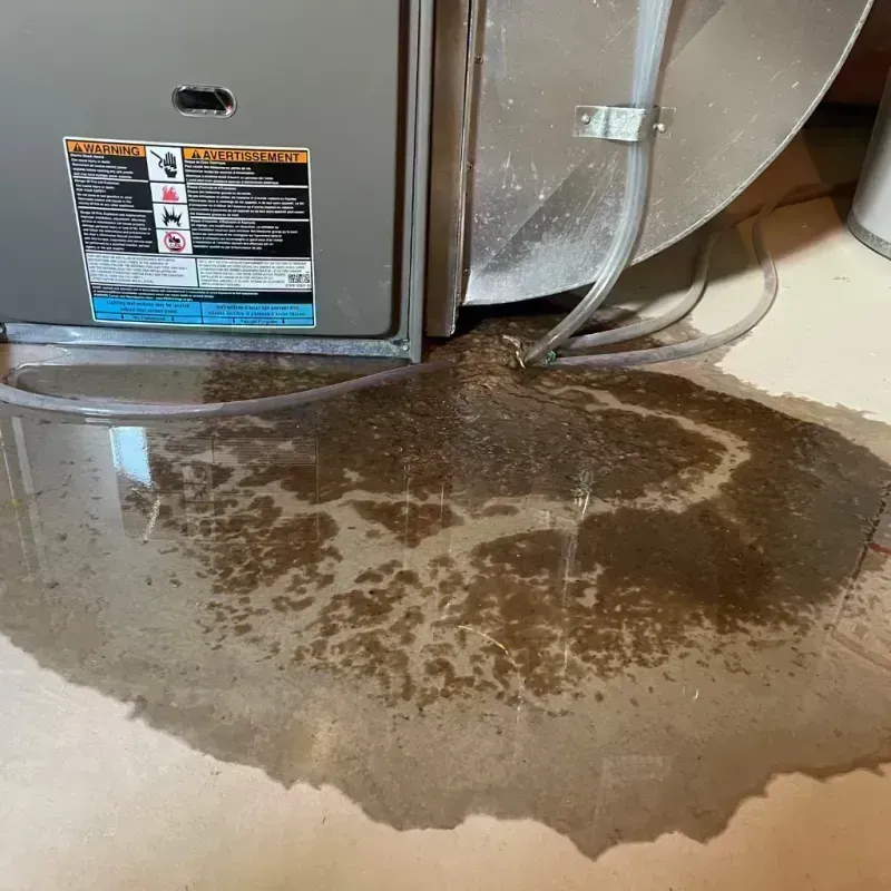 Appliance Leak Cleanup in Hamilton County, OH